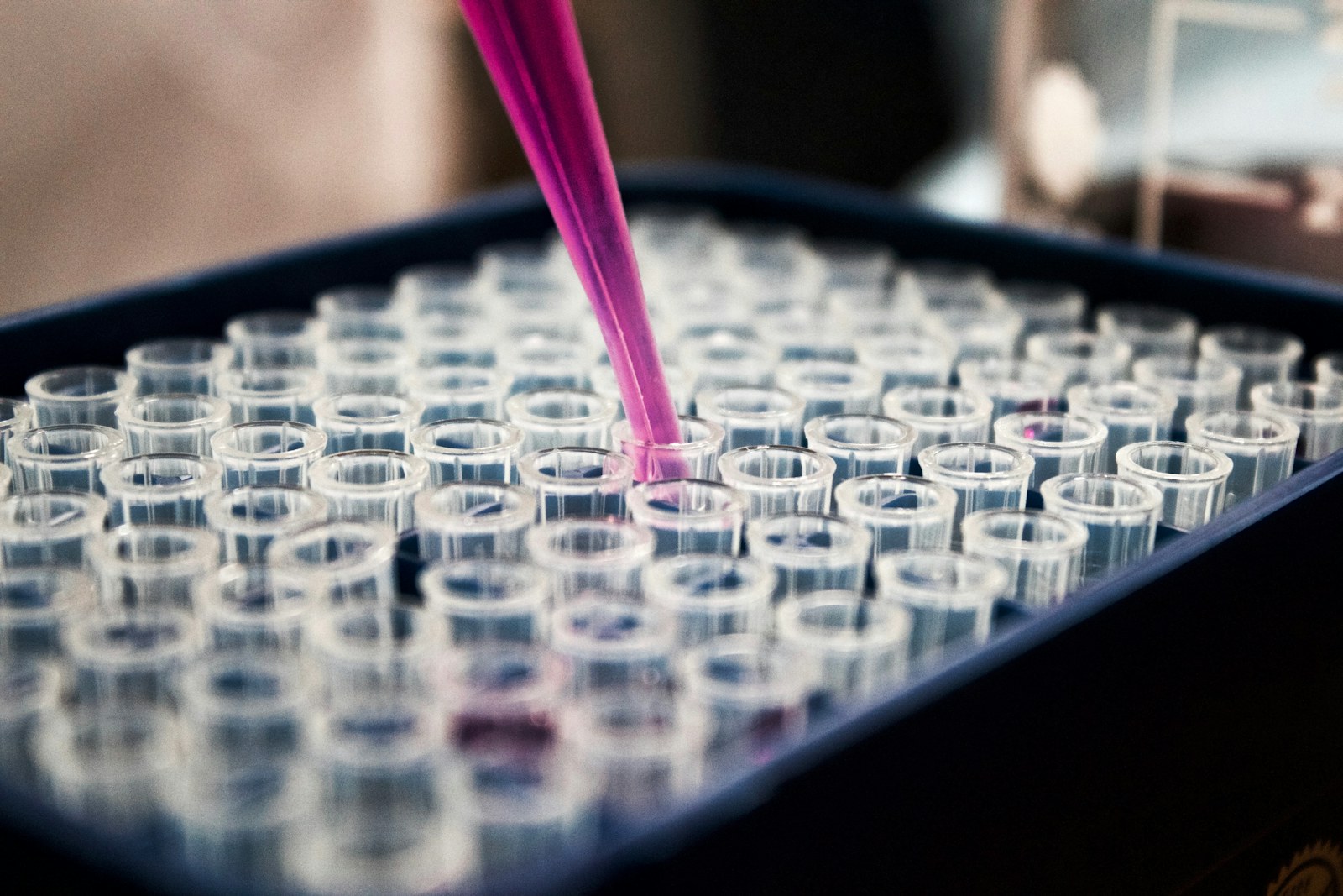 Pipette and sample wells in a laboratory