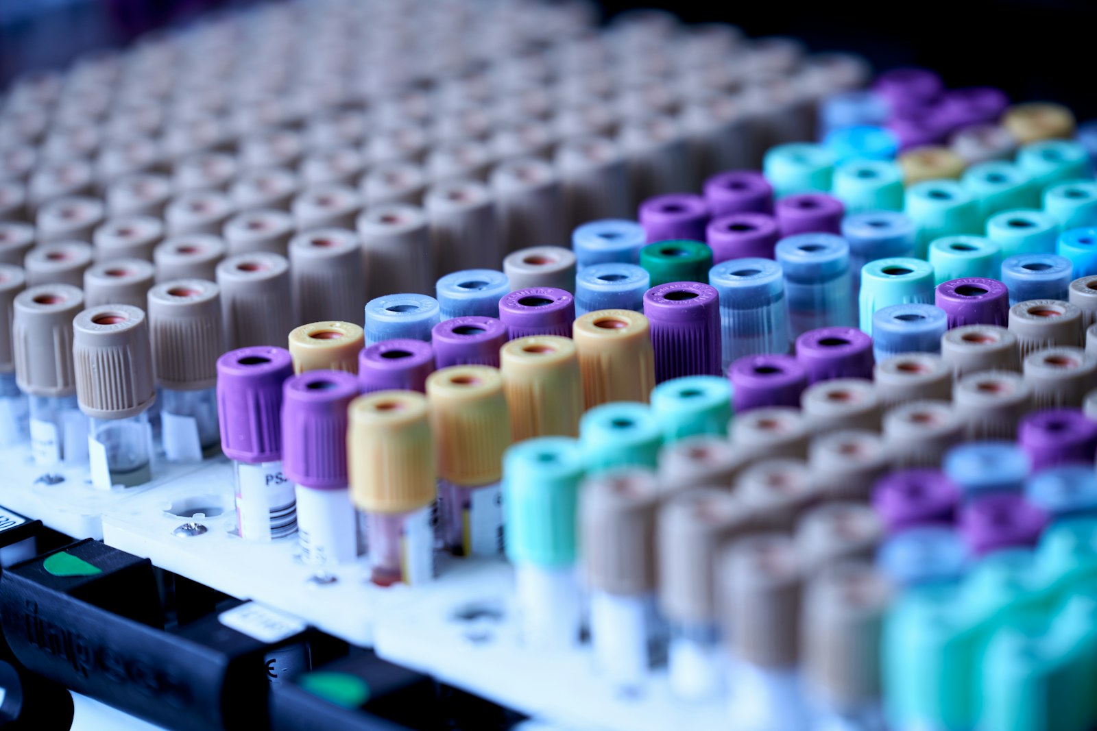 Labeled sample tubes arranged for traceability